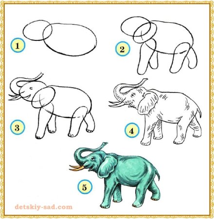 Поэтапное рисование слона для дошкольников