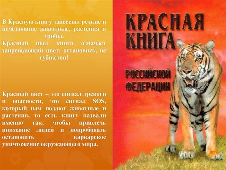 Животные которые занесены в красную книгу
