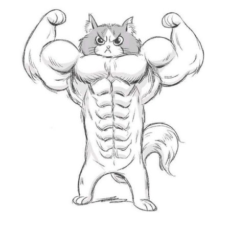 Кот бодибилдер