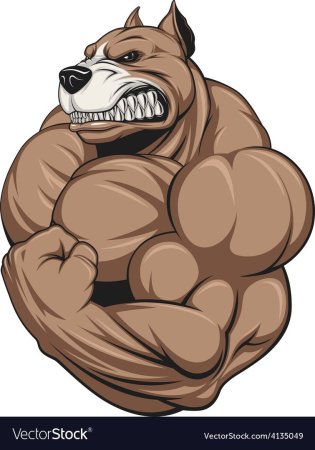 Животное бодибилдер