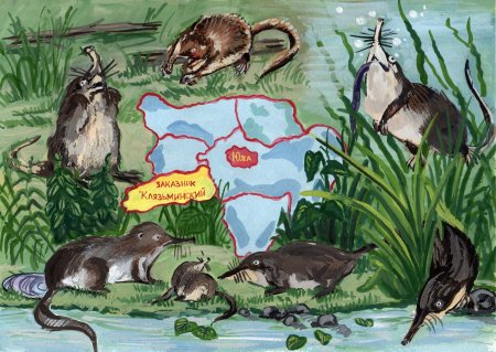 Клязьминский заказник выхухоль