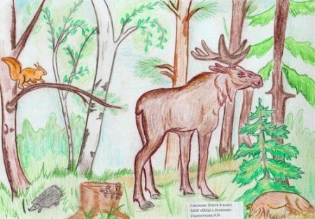 Рисование на тему лес и его обитатели