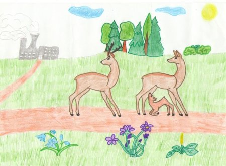 Рисунок на тему растения и животные