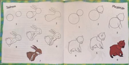 Схема рисования животных в подготовительной группе