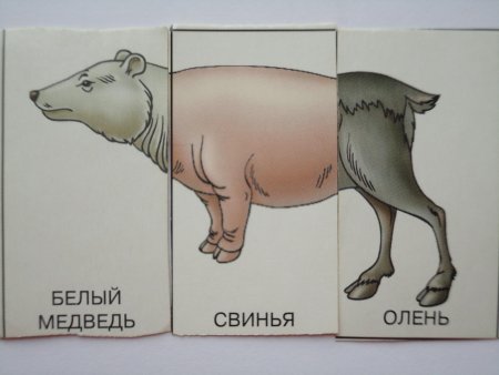 Карточки с несуществующими животными