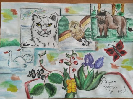 Конкурс экологических рисунков 2021