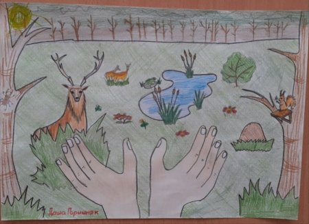 Конкурс экологических рисунков