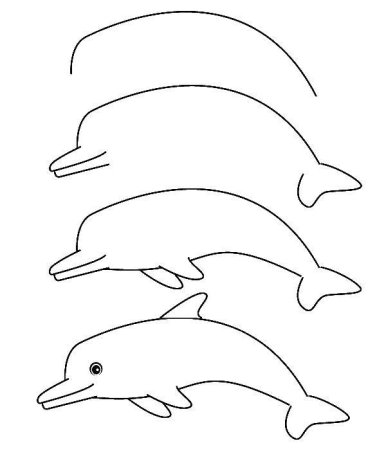 Дельфин рисунок