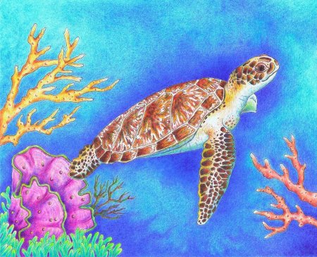 Живопись морские жители