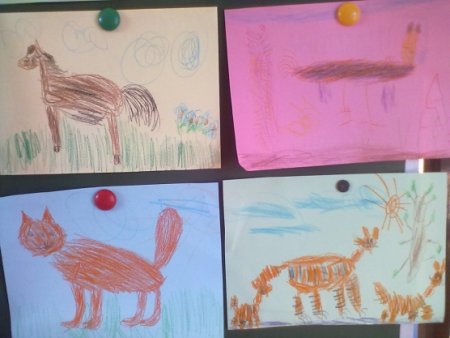 Рисование в старшей группе животные