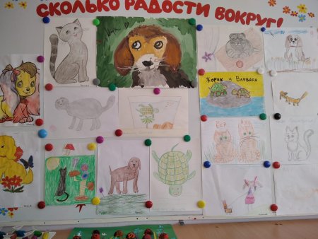 Выставка домашние животные в детском саду