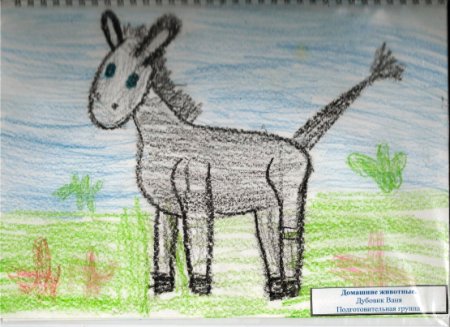 Рисование любимое животное старшая группа