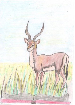 Красная книга Республики Башкортостан книга