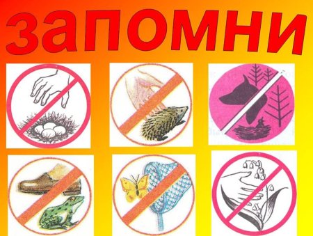 Красная книга глазами детей