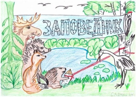 Конкурс красная книга Тверской области глазами детей