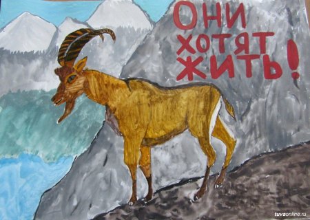 Плакат на тему защита животных