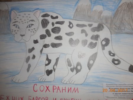 Рисунок на тему заповедник