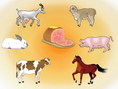 Домашние животные и продукты их