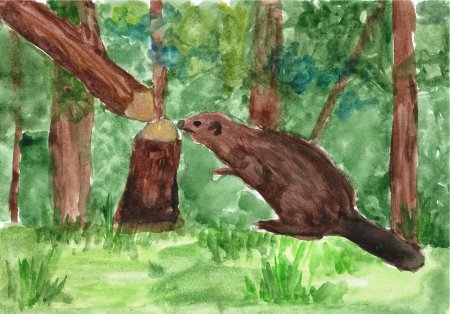 Рисунок животного в среде обитания