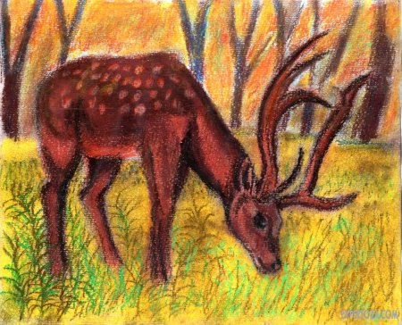 Анималистический рисунок