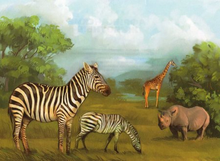 Животные жарких стран