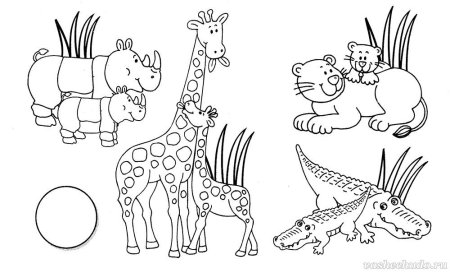 Раскраски о животных зоопарка для дошкольников