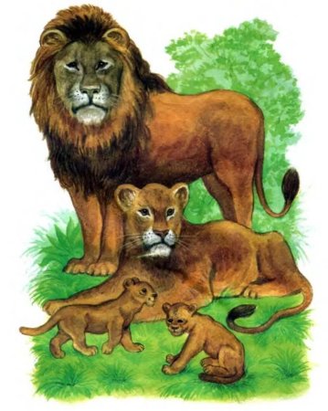 Животные для малышей