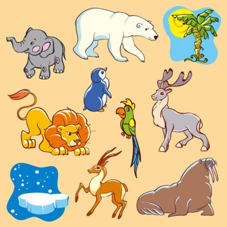 Животные севераи жарк х стран