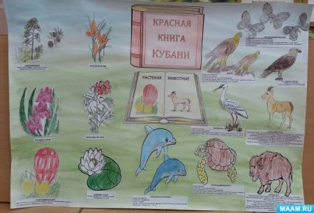 Красная книга рисунок