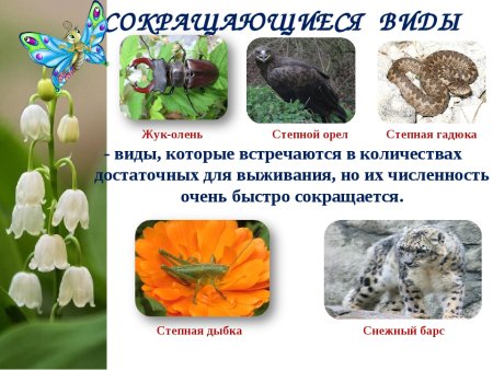Животные и растения из красной книги Татарстана