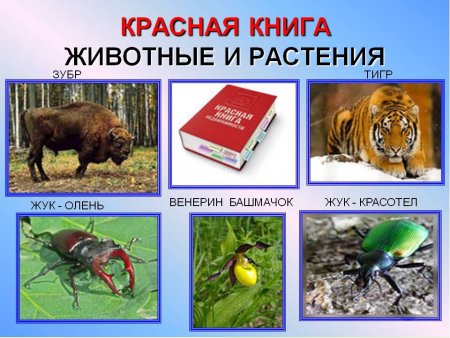 Красная книга России животных и растений