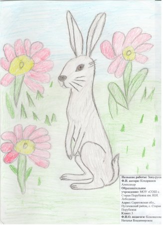Рисунки животных и растений