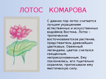 Описание растения из красной книги