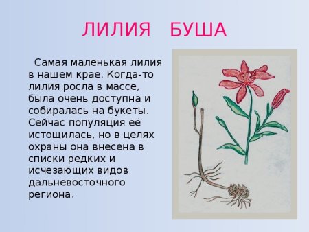 Растения из красной книги картинки и описание