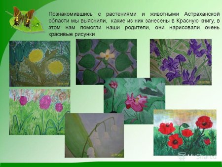 Картины животных из красной книги