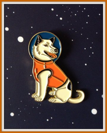 Собаки в космосе