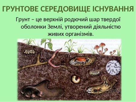 Обитатели почвы
