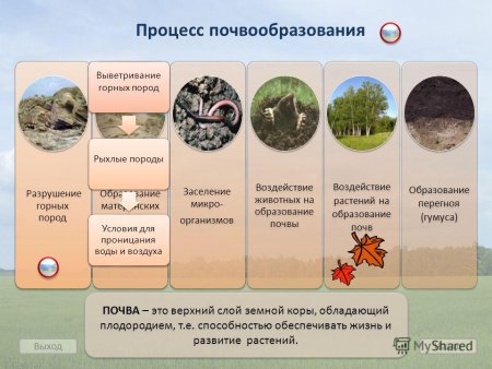 Схема биологического круговорота веществ