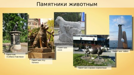 Памятники для животных