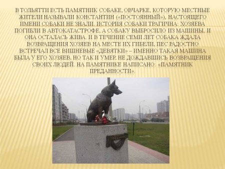 Тольятти памятник собаке верному