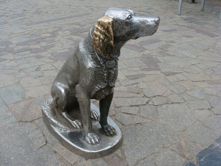 Памятник собаке по кличке Бим в Воронеже