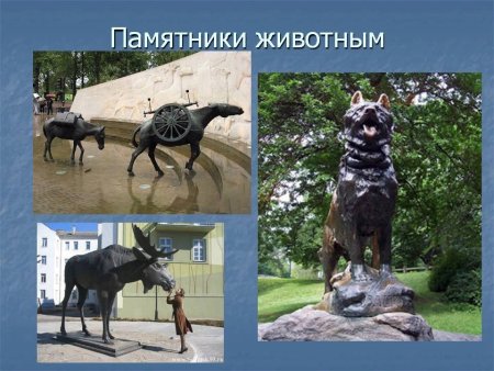 Памятники животным презентация