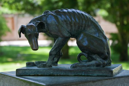 Памятник собаке Монти