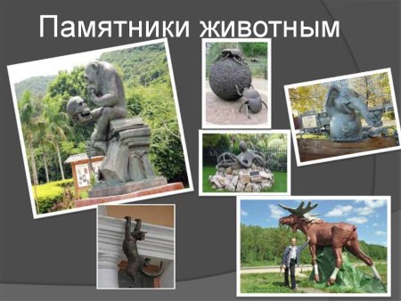 Презентация для дошкольников о памятниках животным