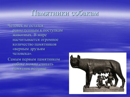 Памятник собаке