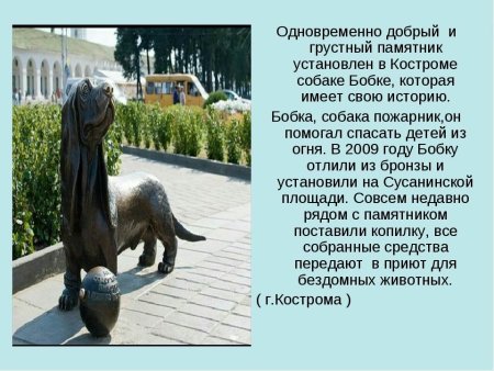 Памятник собаке Бобке в Костроме история