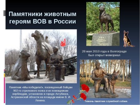 Памятники животным героям Великой Отечественной войны в России