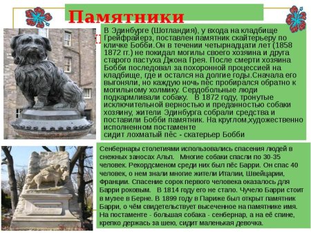 Сообщение о памятниках животных