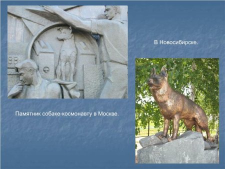 Памятник животным рисунок