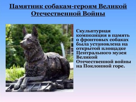 Памятник Кусаке